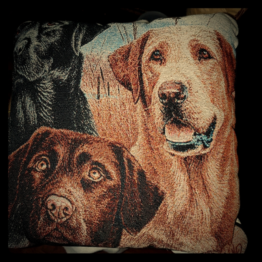 3 Labrador Stitched Pillow (NEW)